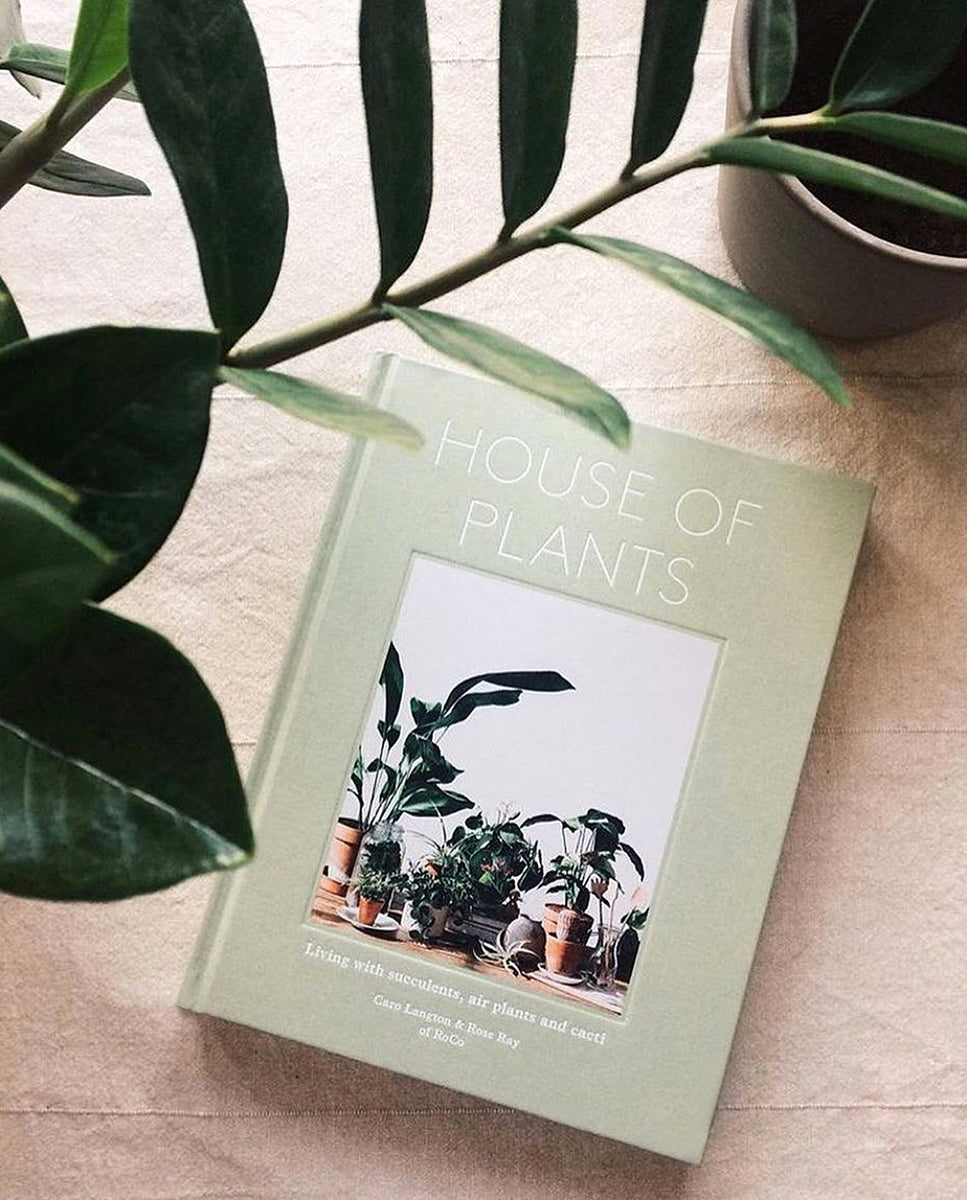 house of plants caro langton Libro House of Plants de Caro Langton y Rose Ray – JUNGLA