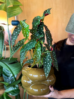 Cargar imagen en el visor de la galería, Maceta nubes
