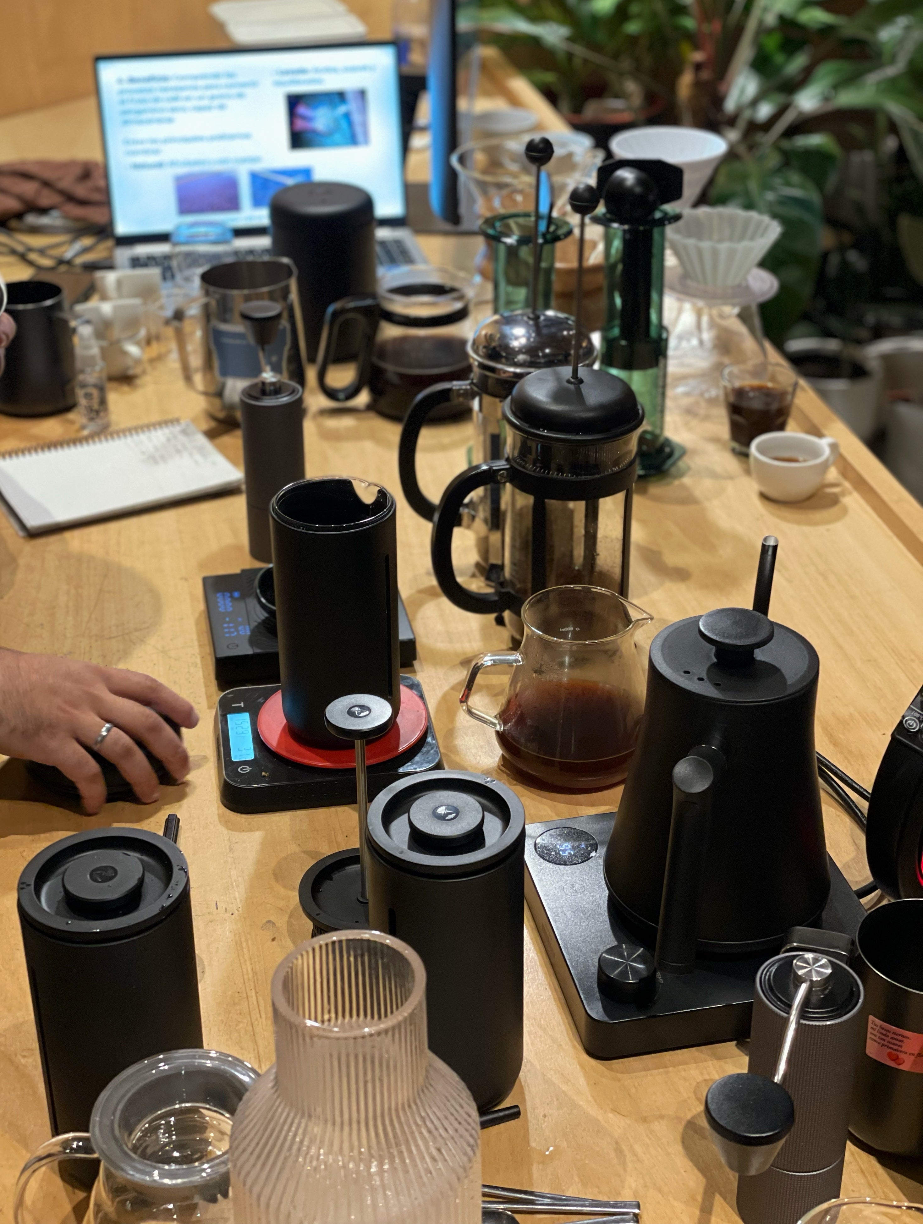 Taller de introducción al café de especialidad