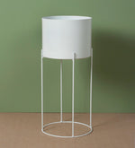 Cargar imagen en el visor de la galería, Set Jungle
