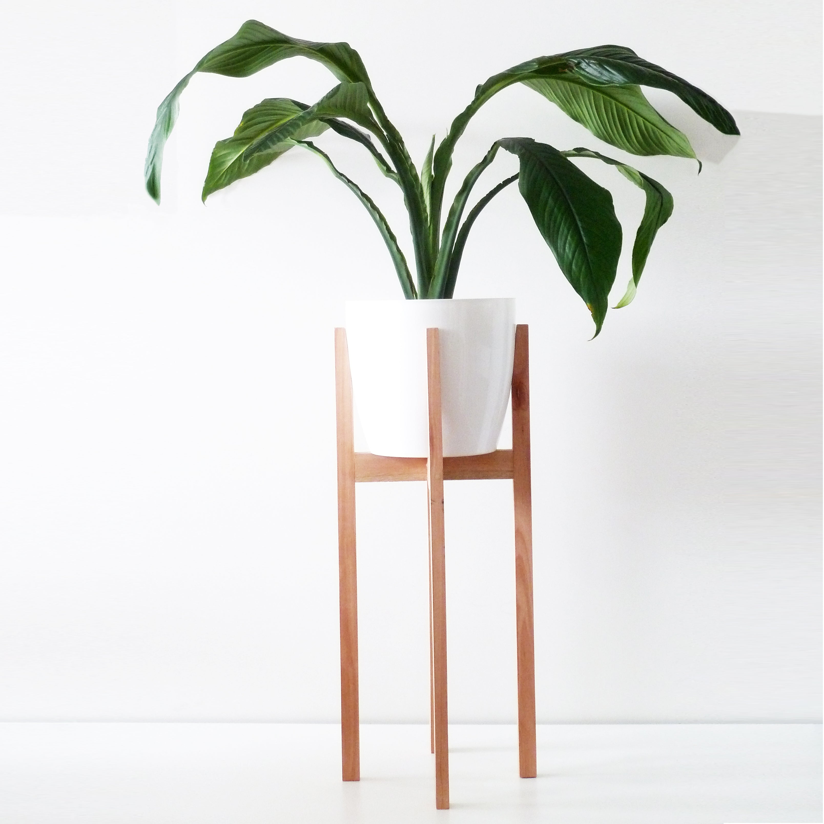 Pie de madera XG Alto