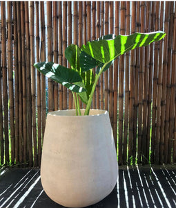 Maceta Gota Pintada